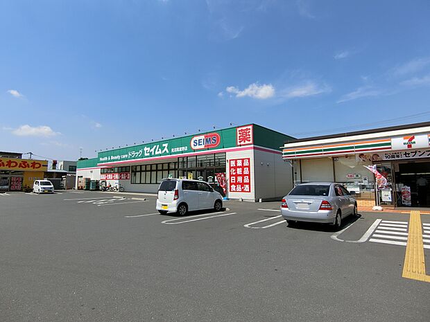 ドラッグセイムス見沼風渡野店まで約450m