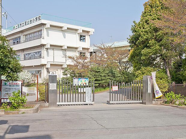 尾山台小学校まで約350m