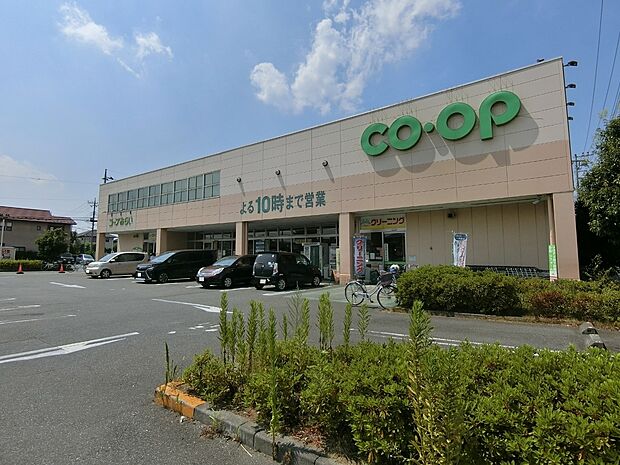 コープみらいコープ東岩槻店まで約500ｍ