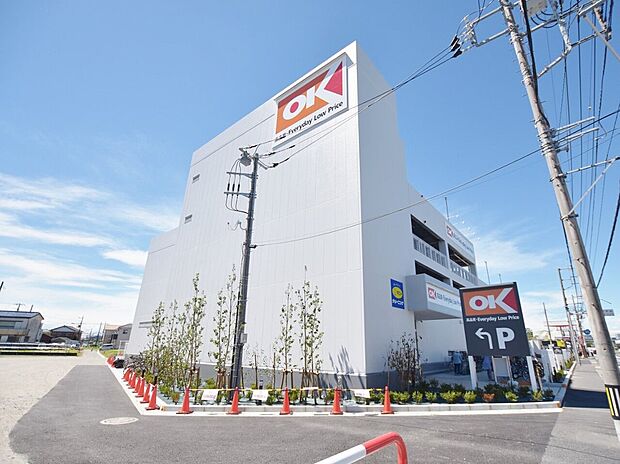 オーケー川口芝店まで約500m