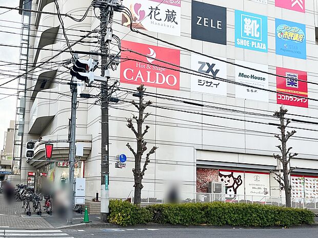 まるひろ南浦和店まで約1300ｍ