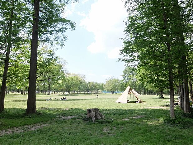 秋ヶ瀬公園まで約1200m