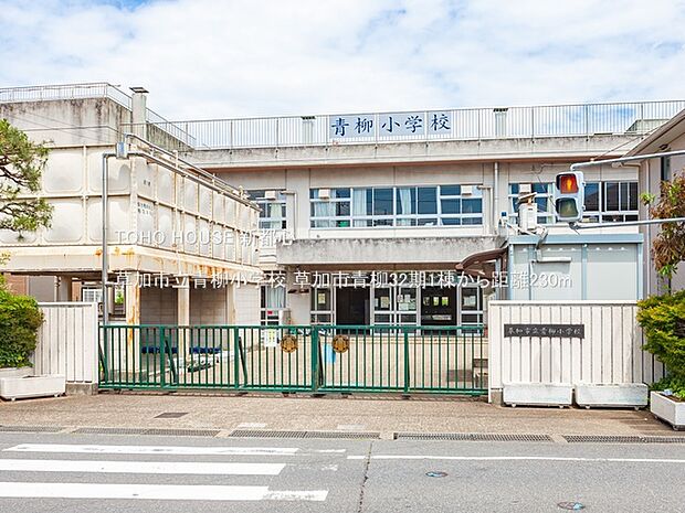 草加市立青柳小学校 230m