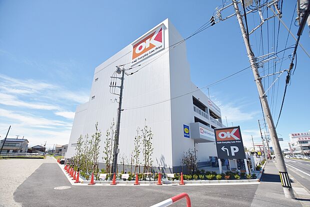 オーケー川口芝店まで約700m