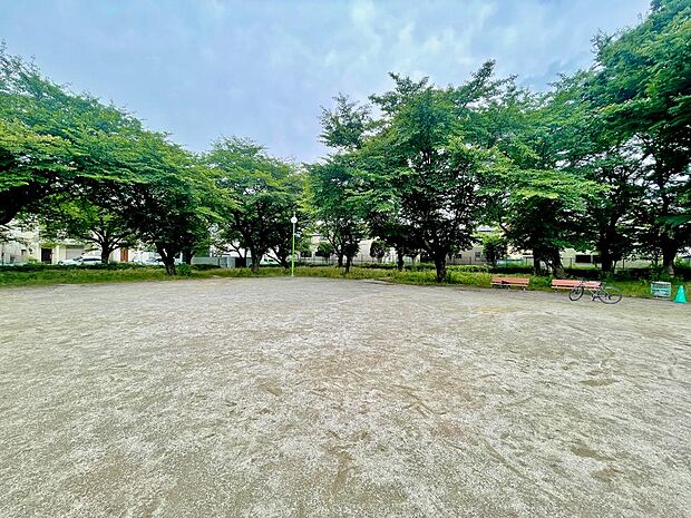 安行天沼公園まで約100m