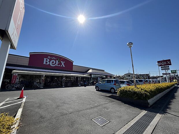 ベルクス岩槻城北店まで約1100m