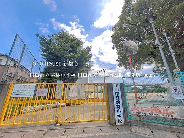 川口市立慈林小学校まで約1000m