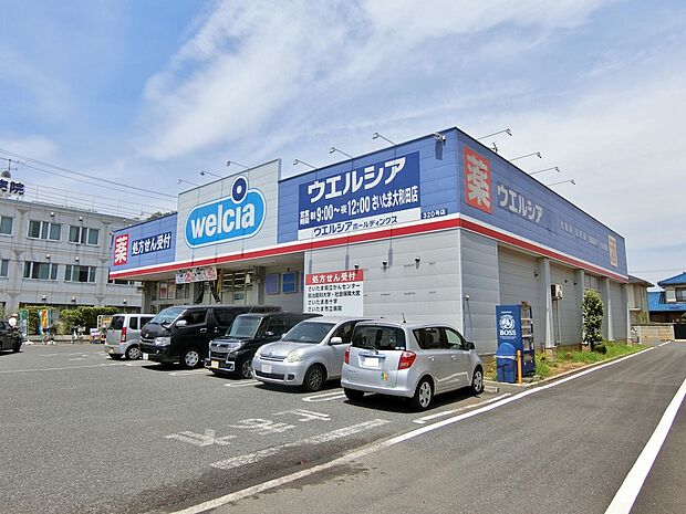 ウエルシアさいたま大和田店まで約1100m