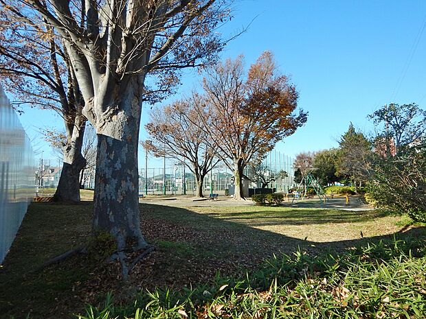 柳根町公園まで約350m