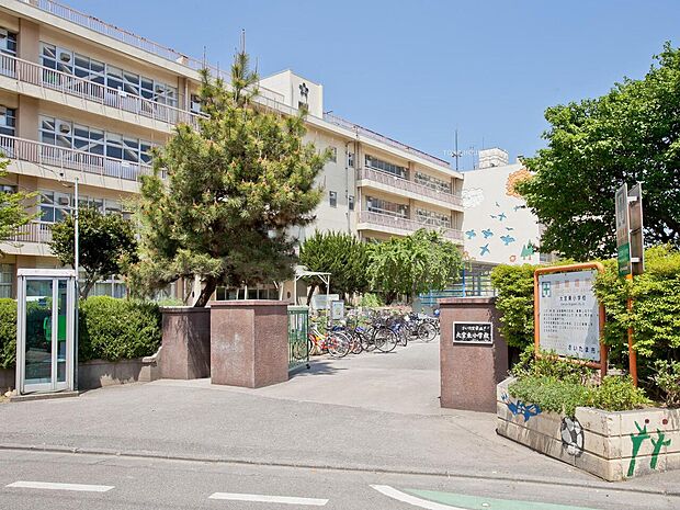 大宮東小学校まで約800m
