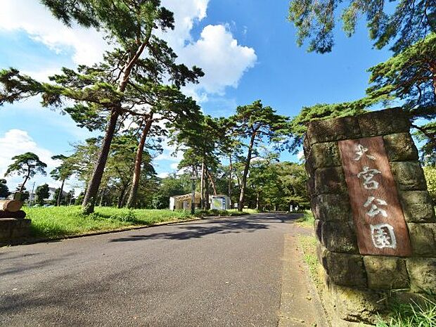 大宮公園まで約290m