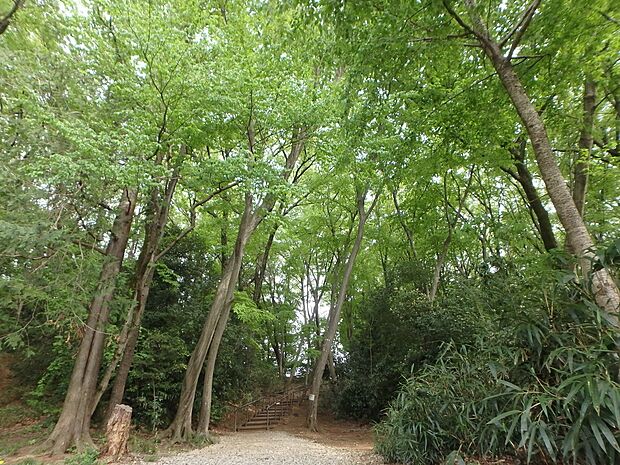 鎌倉公園まで約280m