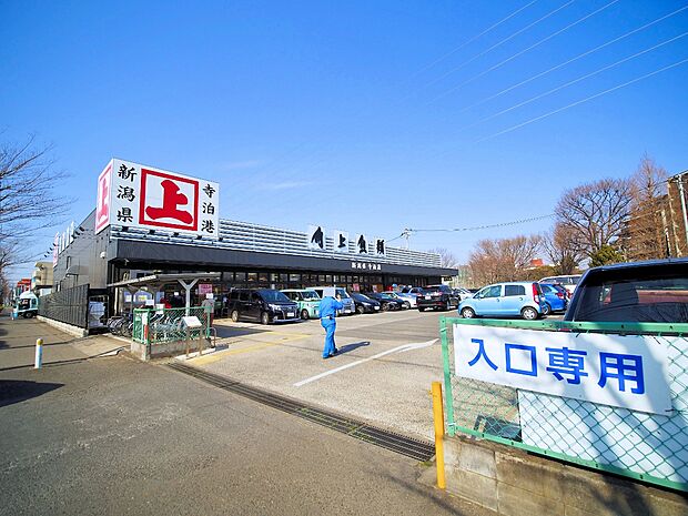 角上魚類川口店まで約500m