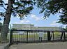 周辺：見沼小学校まで約200m