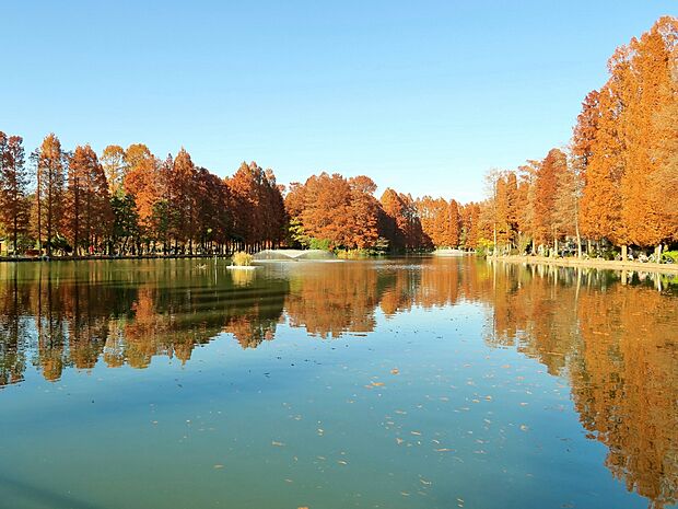 別所沼公園まで約900m