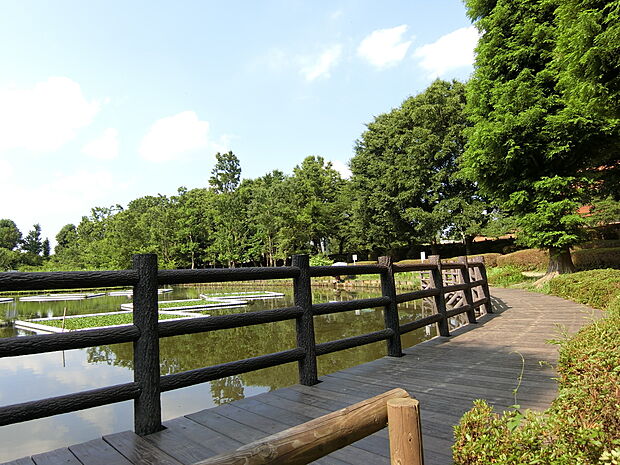 川口自然公園まで約1000m