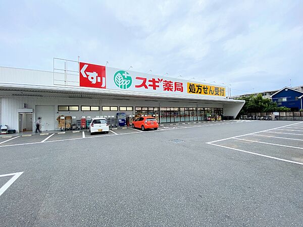 スギドラッグ植竹店まで約500m