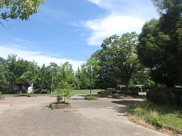 八王子公園まで約550m