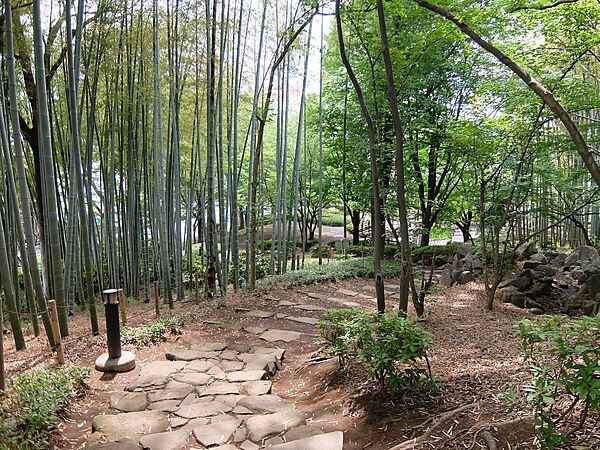 戸塚中台公園まで約800m