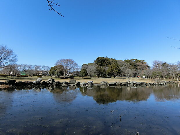 氷川公園まで約130m