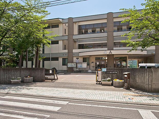 桜木中学校まで約800m