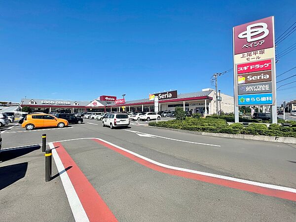 ベイシア上尾平塚店まで約750m