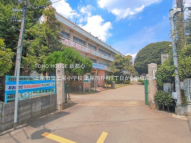 上尾市立上尾小学校 230m