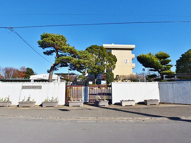 南中学校まで約800m