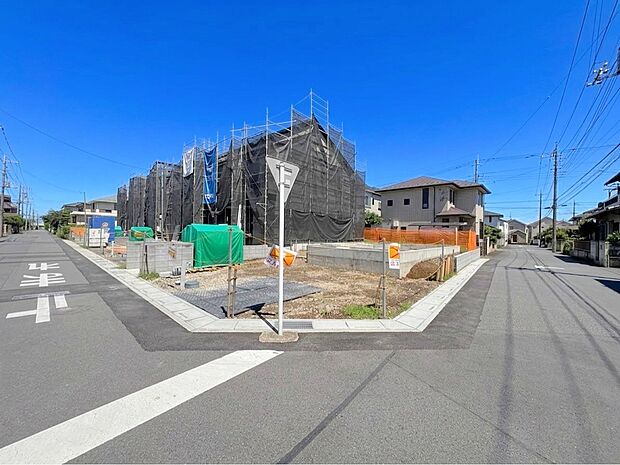 心のやすらぎと満足感を与えてくれます。(令和8年8月撮影)