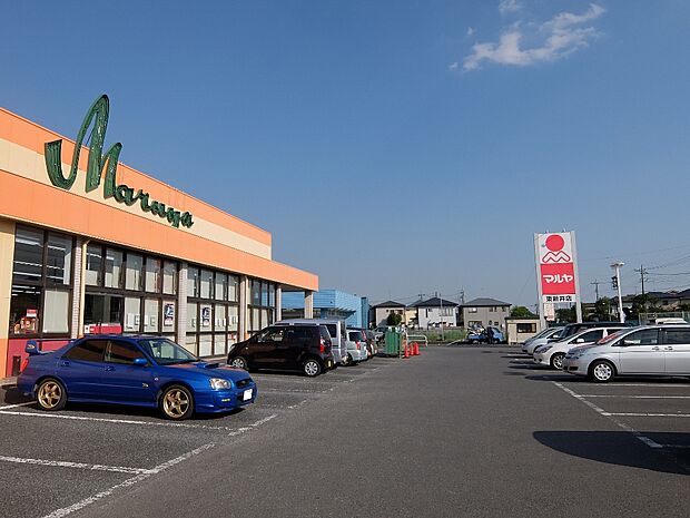 マルヤ東新井店まで約828m