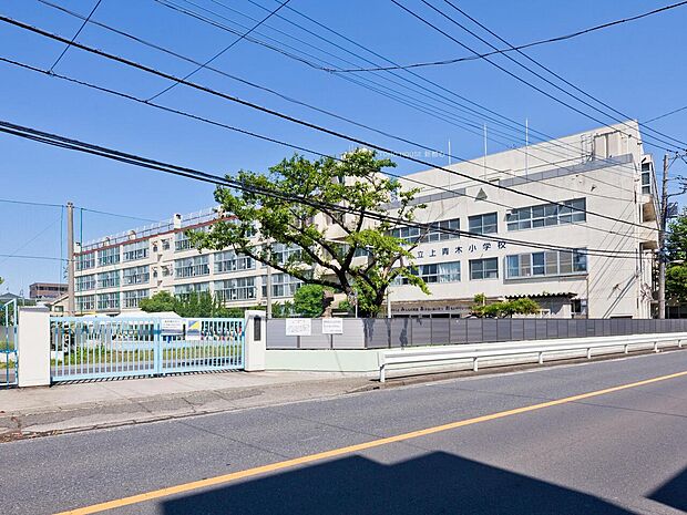 上青木小学校まで約700m