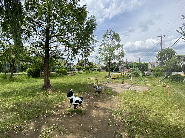 青葉南公園まで約800m