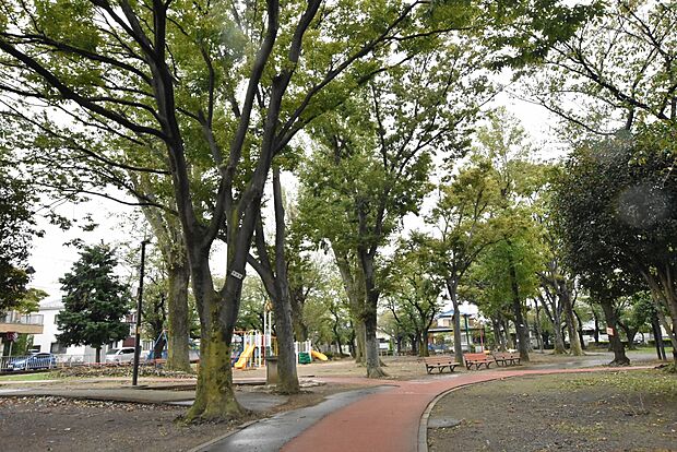 三ツ和公園まで約1100m