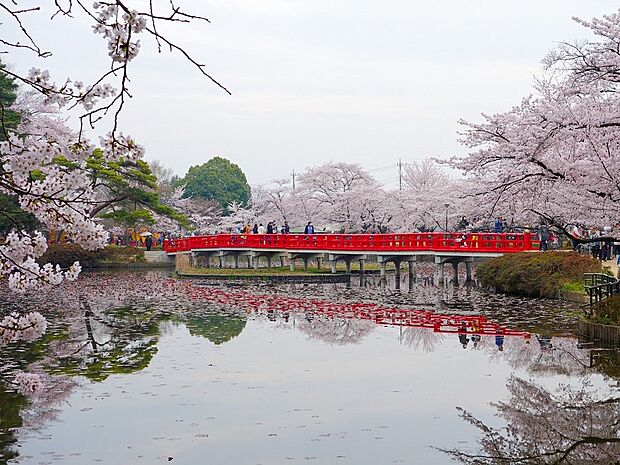 岩槻城址公園まで約550m