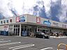 周辺：ウエルシア川口北原台店まで約650m