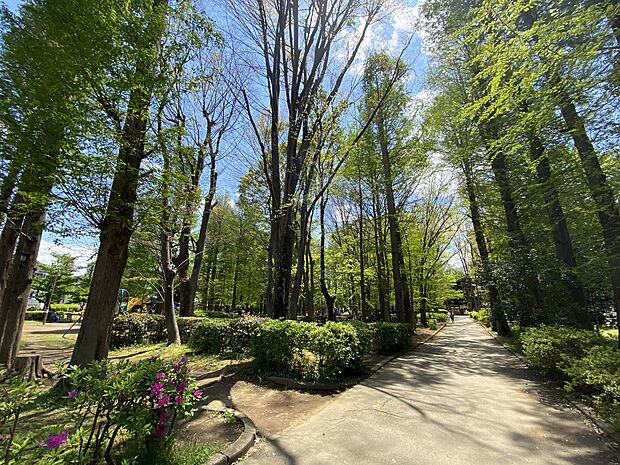 別所沼公園まで約800m
