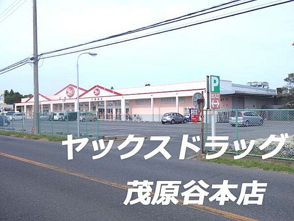 ヤックスドラッグ茂原谷本店まで1419m