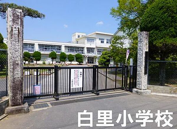大網白里市立白里小学校まで3012m