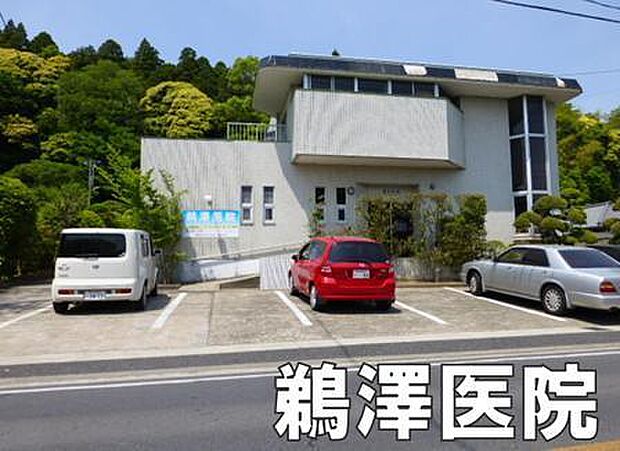 鵜澤医院まで852m、糖尿病内科 / 内科 / 小児科