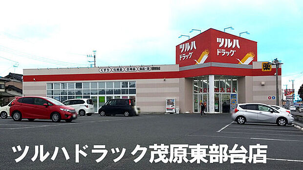 ツルハドラッグ茂原東部台店まで1742m