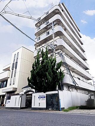 カルムフジミ_トップ画像