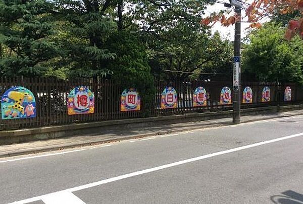樽町白梅幼稚園まで1440m、樽町白梅幼稚園