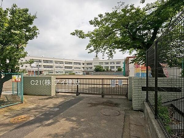 横浜市立白根小学校まで500m、横浜市立白根小学校