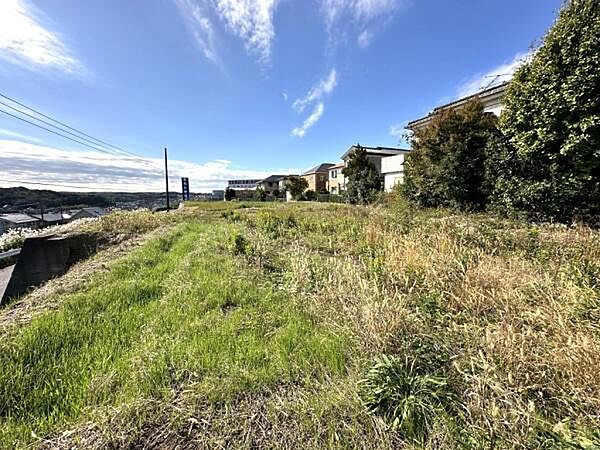 外観：312001199457