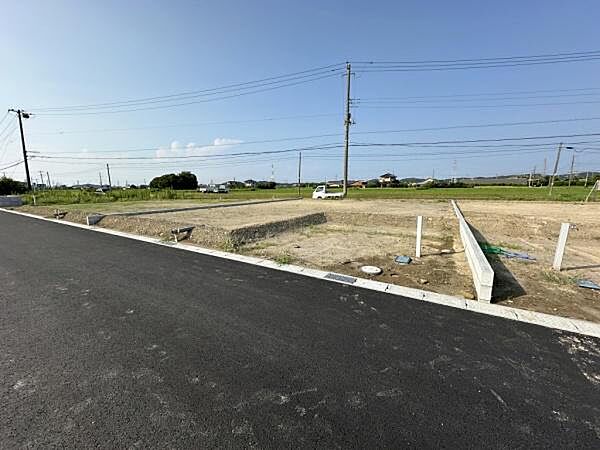 外観：312001199460