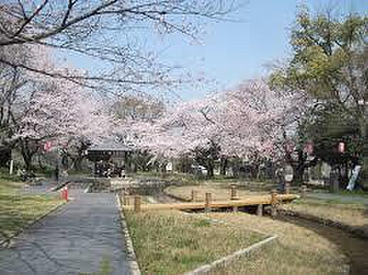 大山緑地公園まで350m