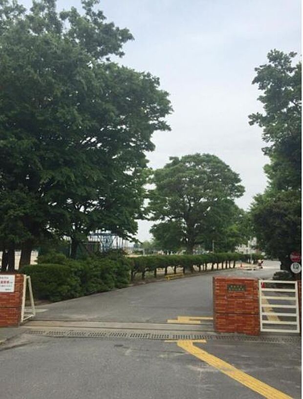 新川小学校まで800m