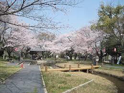 大山緑地公園まで650m