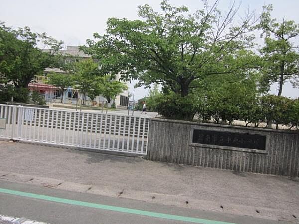 中央小学校まで1100m