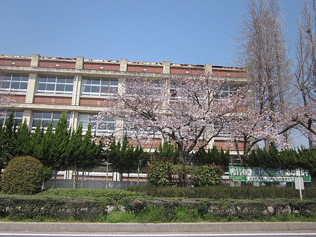 高浜中学校まで1200m